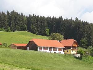 Liebenfels的住宿－Ferienwohnung Dürnberger，山丘上树木背景的房子
