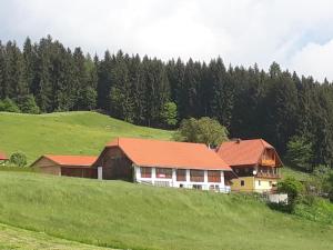 Příroda nedaleko apartmánu