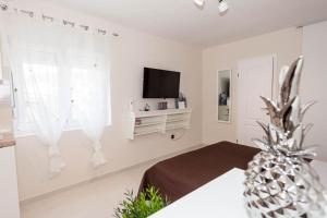 TV a/nebo společenská místnost v ubytování Studio Apartment Dada