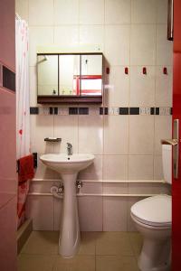 Een badkamer bij Apartmani Rakic