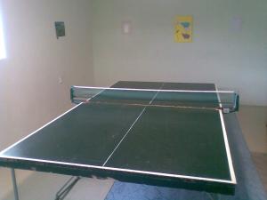 Stolní tenis v ubytování Rekreačný dom Ruža nebo okolí