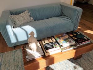 a coffee table in front of a couch with books at Kleinod am Park - Zentrum-Südost in Leipzig