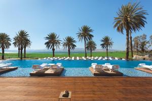 a swimming pool with lounge chairs and palm trees at The Setai Sea Of Galilee in Ein Gev