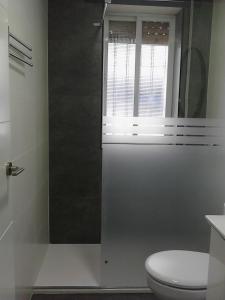 コルドバにあるLa Casa De Clara Córdobaのバスルーム(シャワー、トイレ付)、窓が備わります。