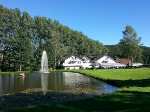 a pond with a fountain in front of a house at Hotel Pappelhof in Weidenbach