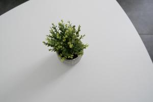 a plant sitting on top of a white table at Apart By Jo in Saint-Germain-en-Laye