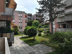 un cortile con un albero e alcuni edifici di Appartamento silenzioso in città a Rovigo