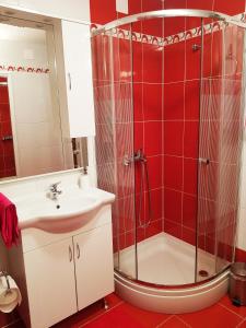 een badkamer met een douche en een wastafel bij Apartman Marica in Opatija