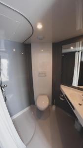 a bathroom with a toilet and a sink at Hôtel du Tramway in Laon +16 photos