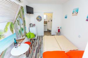 a living room with a bed and a sink at Center Rooms with terrace in Rijeka