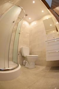 W łazience znajduje się toaleta i przeszklony prysznic. w obiekcie Pokoje gościnne Coloseum w Łebie