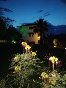 a house with lights in a yard at night at Avra Ηouse in Kriopigi
