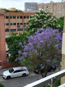 un coche blanco estacionado junto a un árbol con flores púrpuras en Luminoso y amplio apartamento, en Sevilla
