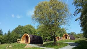 拉腊Glendalough Glamping - Adults Only的两座木头建筑,在田野上,有一棵树