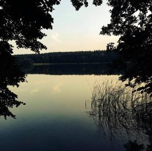 a view of a lake from between two trees at Raj z haczykiem in Grzmięca