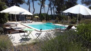 a swimming pool with chairs and umbrellas in a yard at La Coudoulière in Saint-Rémy-de-Provence