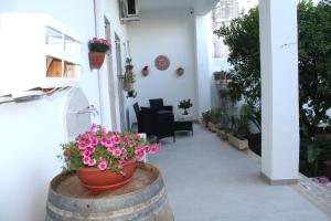 Zahrada ubytování B&B Cafe' Fausu