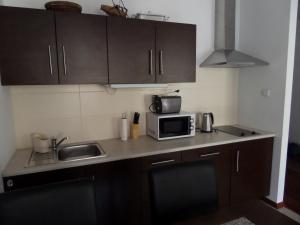 a small kitchen with a sink and a microwave at Apartament Ilona in Szklarska Poręba