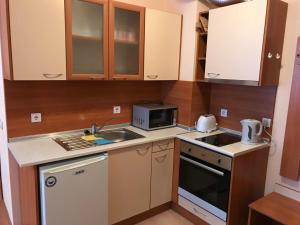 a small kitchen with a sink and a microwave at Flora Ski-slope Studio Apartment in Borovets