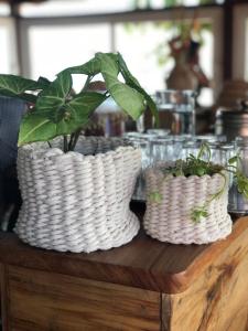 two white baskets sitting on a wooden table with plants at Le Terrace in Morro de São Paulo +46 photos