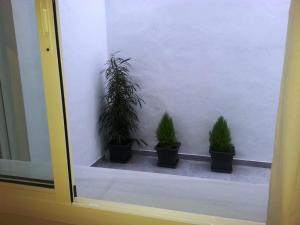 Fotografia z galérie ubytovania Apartamento Mendoza v destinácii Seville