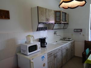 a kitchen with a microwave on top of a refrigerator at Apartmán Chlupáč in Harrachov