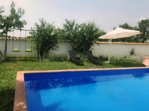 ein blauer Pool mit Sonnenschirm, zwei Stühlen und einem Sonnenschirm in der Unterkunft Ema Holiday Home in Muntić