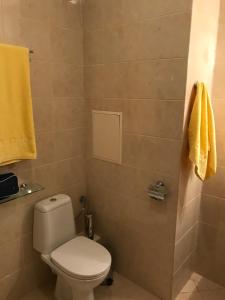 A bathroom at Flora Ski-slope Studio Apartment