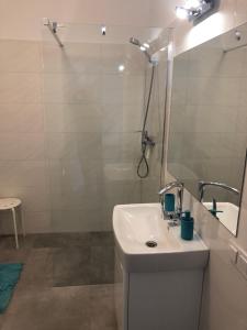 a bathroom with a sink and a shower with a mirror at Apartament Jula 2 in Pogorzelica