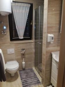 Un baño con inodoro y ducha de cristal. en Apartments Barbara, en Pinezici 117 fotos más