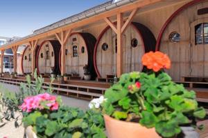a row of wooden buildings with flowers in pots at Hotel De Vrouwe van Stavoren in Stavoren