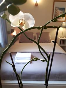 uma flor branca em frente a uma cama em Le Coquet em Saint-Omer