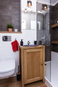 La salle de bains est pourvue d'un lavabo et d'une douche. dans l'établissement Apartament Twarda 54-Warszawski Sen, à Varsovie