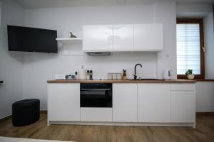 Kuchyň nebo kuchyňský kout v ubytování Apartamenty AP 1