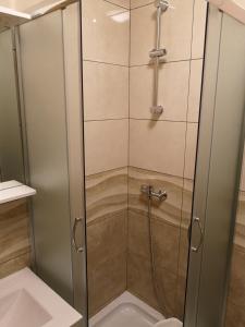 a shower with a glass door in a bathroom at Tomek Apartment in Vir +31 photos