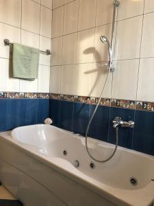 a bath tub with a shower in a bathroom at Apartment Danijela No. 2 in Novalja +13 photos