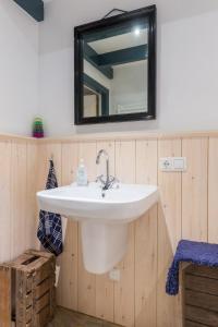 een badkamer met een witte wastafel en een spiegel bij de Boskpleats in Winsum
