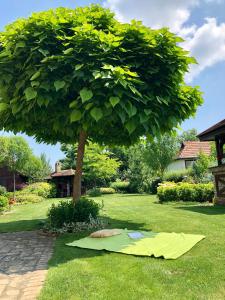 Aed väljaspool majutusasutust Villa Larus