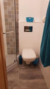 a small bathroom with a toilet and a shower at Apartment Balaton in Siófok