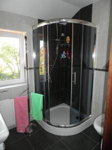 a shower with a glass door in a bathroom at Dom Derbend na wyłączność in Sztutowo +39 photos