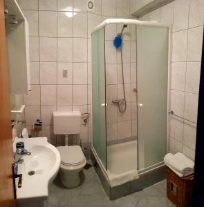 a bathroom with a shower and a toilet and a sink at Apartments Zvono in Slano +14 photos