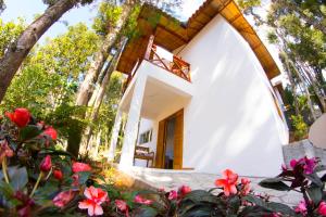 a house in the woods with a large mirror at VELINN Pousada Jardim da Mantiqueira in Monte Verde +41 photos