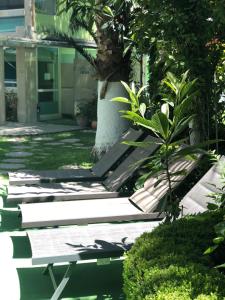 Vườn quanh Hotel Cuellar