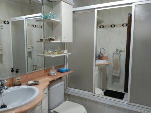 a bathroom with a sink and a shower and a toilet at Wellington in Vitoria-Gasteiz