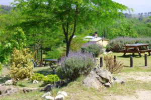 Κήπος έξω από το Complejo Terrazas al Champaqui