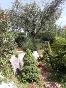 un jardín con árboles y rocas y un árbol en Ana Marija Apartments en Poreč