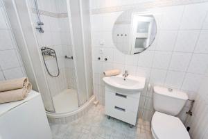ソポトにあるSunny Suite in Center of Sopotのバスルーム(洗面台、トイレ、シャワー付)