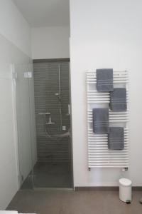 a bathroom with a shower with a glass shower stall at Paracelsus Locarno Stadt Wohnung in Locarno