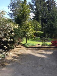 un parc avec un banc, des arbres et des fleurs dans l'établissement Pension Haus Am Hirschsprung, à Willingen