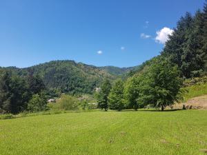 Príroda v okolí dovolenkového domu
